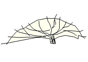 低矮灌木设计素材SU(草图大师)模型