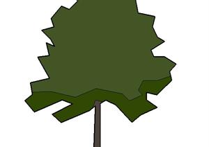 一棵通用2D树示意图景观植物设计的SU(草图大师)模型