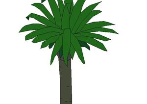 设计素材之景观植物棕榈树设计素材SU(草图大师)模型3