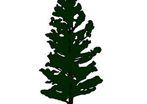 2D示意松树景观植物设计SU(草图大师)模型