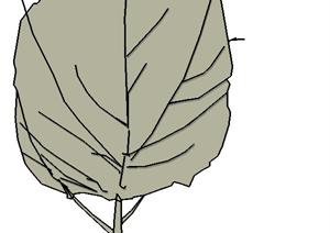 设计素材之景观植物乔木设计素材SU(草图大师)模型80