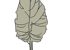 2D景观树草图植物设计SU(草图大师)模型1