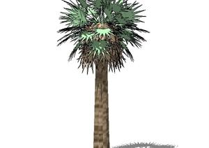 设计素材之景观植物热带棕榈树设计素材SU(草图大师)模型70