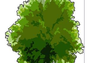 设计素材之景观植物手绘树设计方案SU(草图大师)模型1