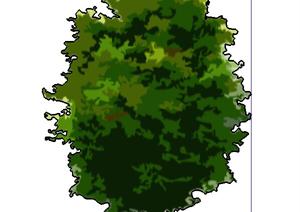 一棵园林景观植物设计SU(草图大师)模型