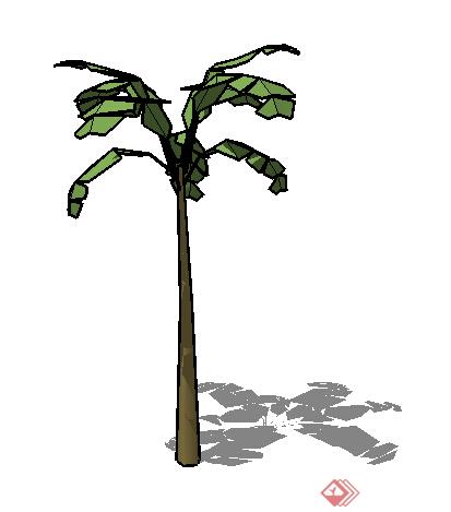 设计素材之景观植物乔木设计方案su模型2(1)