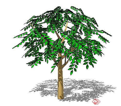 设计素材之景观植物乔木设计方案su模型6(1)