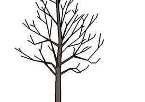 一个落叶乔木树木SU(草图大师)模型素材