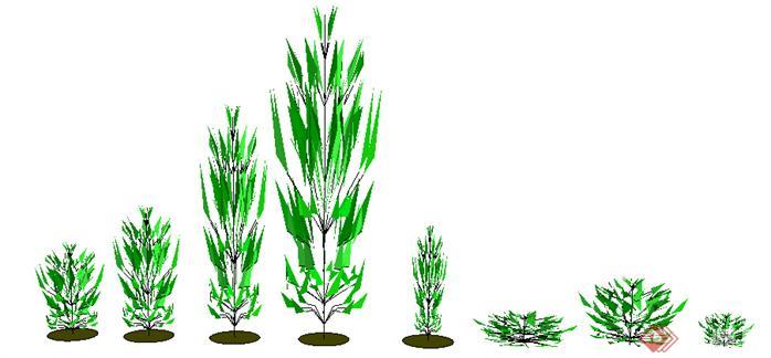 设计素材之景观植物灌木设计方案su模型(1)