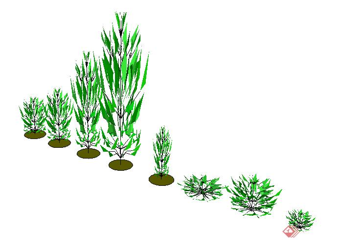 设计素材之景观植物灌木设计方案su模型(2)