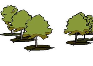设计素材住景观植物乔木设计方案SU(草图大师)模型28