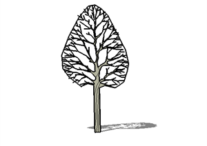 某现代风格园林植物素材树木SU(草图大师)模型2
