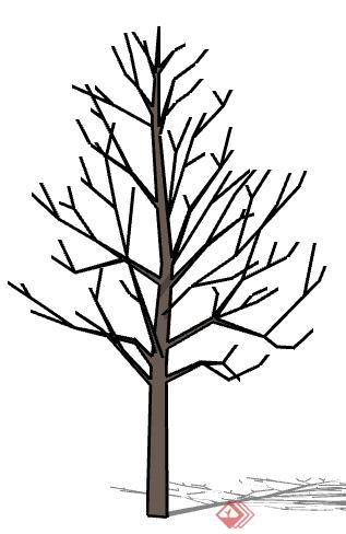 一棵树木树干设计的SU模型(1)