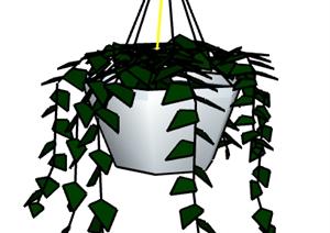 一盆挂篮植物的设计SU(草图大师)模型