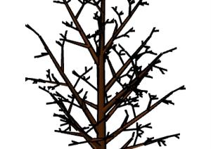 一棵景观植物树干设计的SU(草图大师)模型