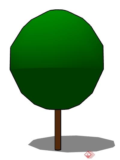 一棵景观植物设计的SU模型3(1)
