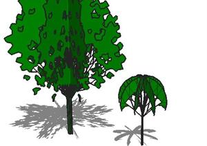 大小两棵景观植物设计的SU(草图大师)模型