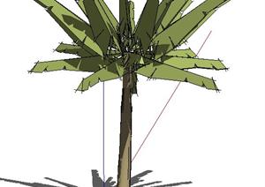 一个椰子树SU(草图大师)模型素材