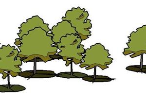 数个园林景观小乔木SU(草图大师)模型素材