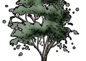 一棵园林景观植物设计的SU(草图大师)模型5