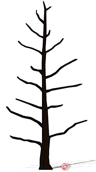 一棵树架的景观植物设计SU模型(1)
