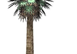 一株园林棕榈树景观植物SU(草图大师)模型素材