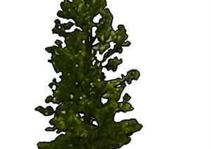 一株2D园林景观树木SU(草图大师)模型素材