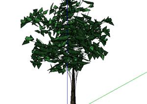 设计素材之景观植物乔木设计素材SU(草图大师)模型27