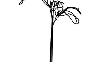 一棵景观植物设计的SU(草图大师)模型12