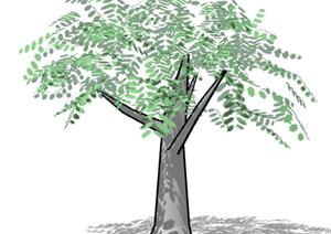一棵景观橄榄树植物设计SU(草图大师)模型