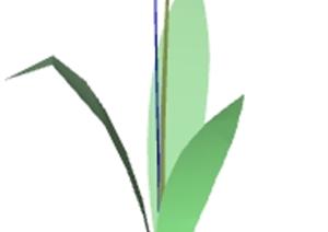 一棵郁金香的景观植物设计SU(草图大师)模型