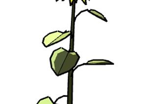 一棵向日葵的景观植物设计SU(草图大师)模型