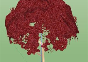 一棵红叶树的景观植物设计SU(草图大师)模型