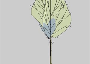 设计素材之景观植物乔木设计素材SU(草图大师)模型60