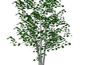 一株3D景观树木SU(草图大师)模型素材