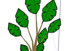 一棵鹤望兰的景观植物设计SU(草图大师)模型