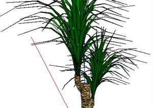设计素材之朱蕉景观植物灌木设计素材SU(草图大师)模型9