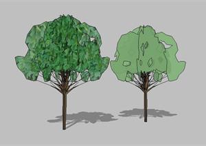 两株园林景观树木SU(草图大师)模型素材