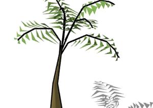 一棵热带棕榈的景观植物设计SU(草图大师)模型