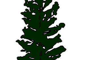 设计素材之景观植物乔木设计素材SU(草图大师)模型81