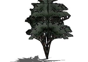设计素材之景观植物乔木设计素材SU(草图大师)模型84