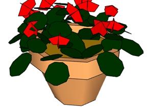 一棵盆栽植物的设计SU(草图大师)模型