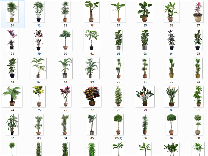 多种盆栽植物的景观设计JPG高清素材
