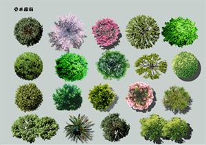 某园林植物铺平面图彩屏图设计素材PSD格式