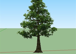 某园林景观植物SU(草图大师)模型素材