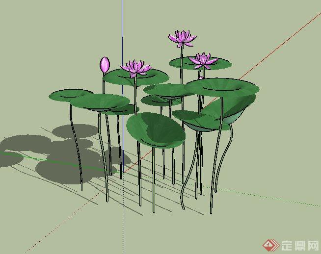 某荷花群景观植物SU模型(1)