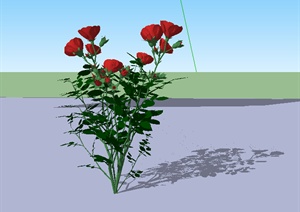 景观设计植物素材玫瑰花SU(草图大师)模型素材