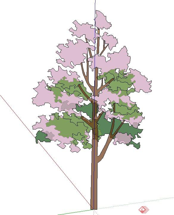 多棵透明树设计SU模型素材(1)