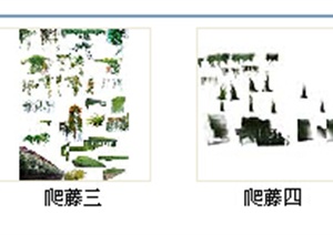 园林景观PS植物素材——爬藤植物（psd、jpg格式）