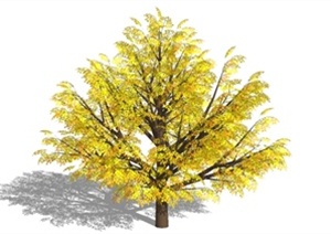 设计素材之景观植物3DMAX模型